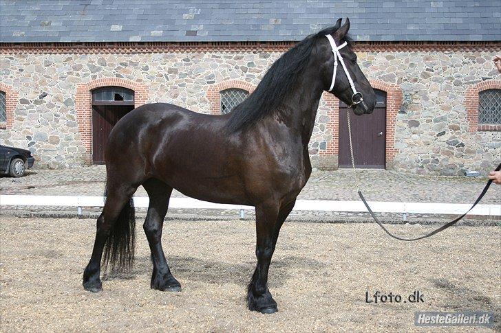 Frieser Like Jebjerg billede 5