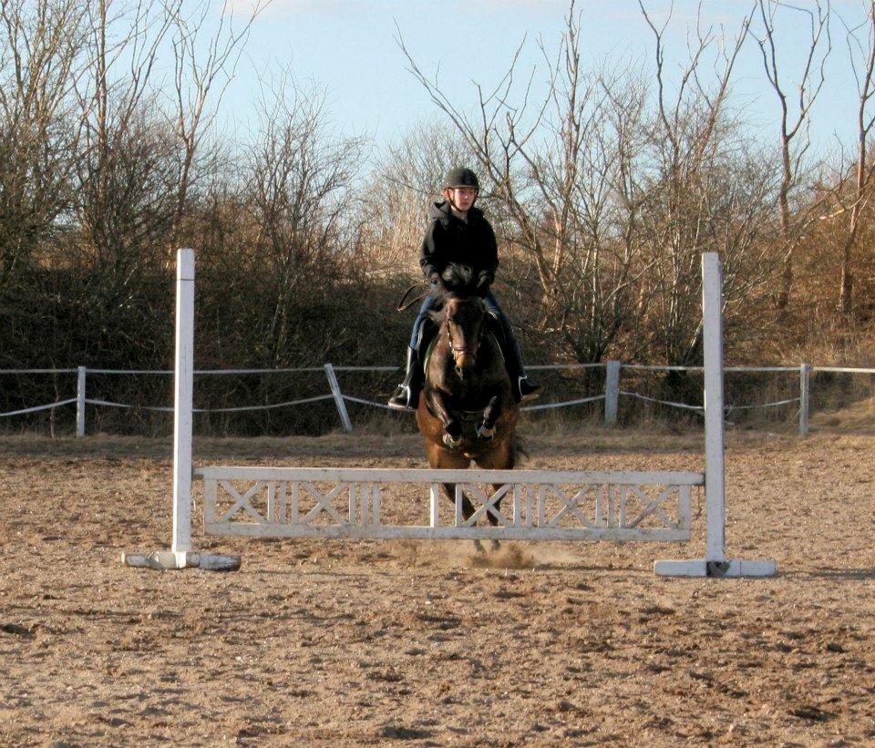 DSP coco chanel - til træning billede 2