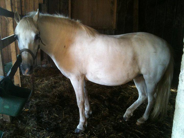 Anden særlig race MetteLine <3 billede 5