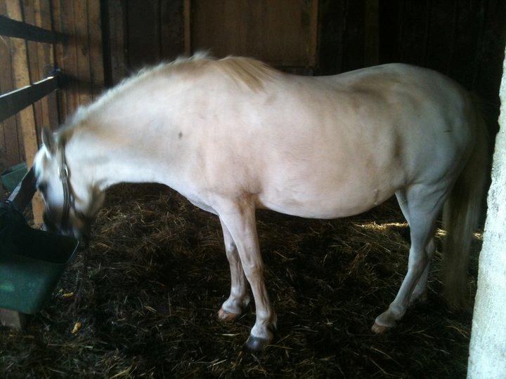 Anden særlig race MetteLine <3 billede 6