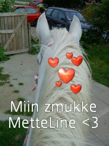 Anden særlig race MetteLine <3 billede 13