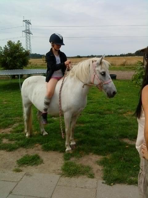 Anden særlig race MetteLine <3 - Jeg elsker dig MetteLine! <3 billede 11