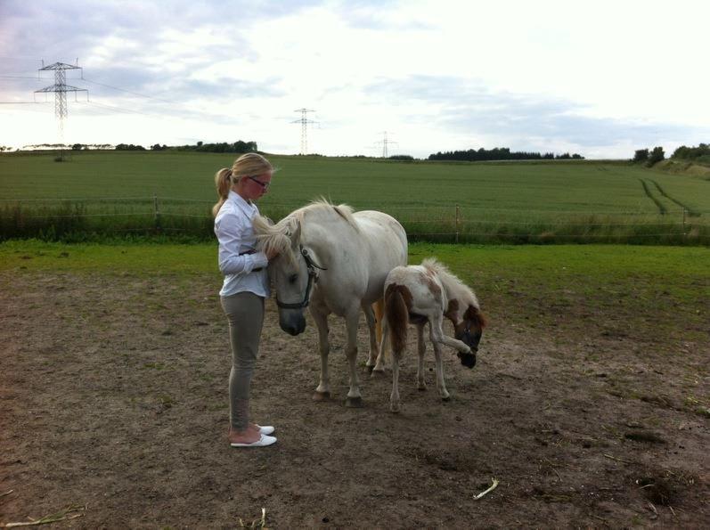 Anden særlig race MetteLine <3 - Mit livs værste dag :'( Da jeg sagde farvel til mine drømme, - mit liv <3 billede 18