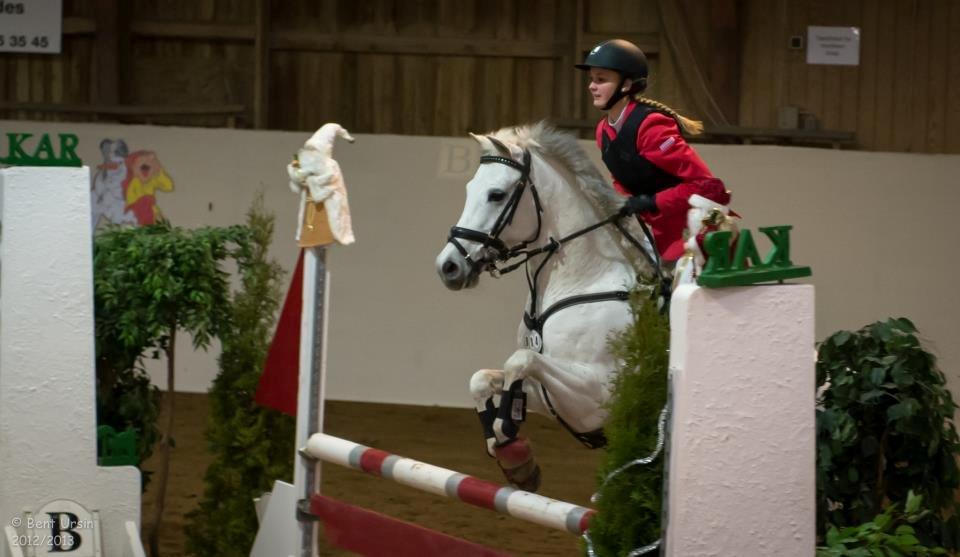 Anglo Araber (AA) Silver Jawos - jeg elsker min lille spring stjerne <3 billede 13