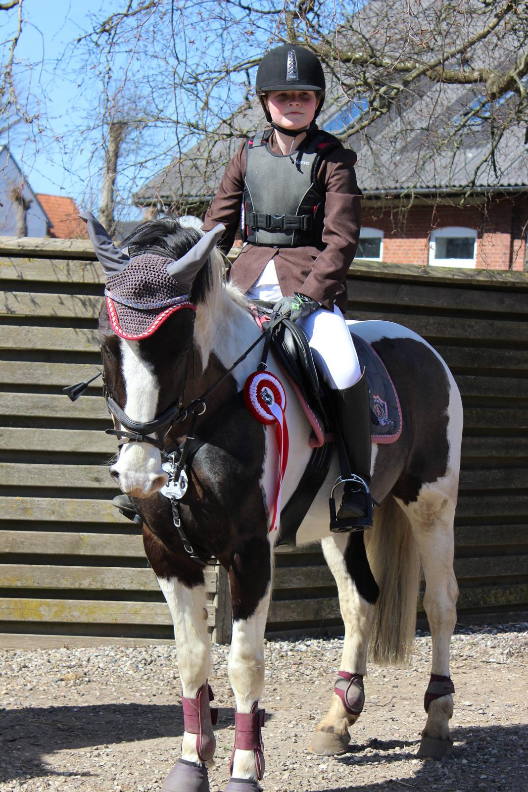 Pinto Pearl of Mississippi (Tidl pony) - 1. plads i LC:) billede 18