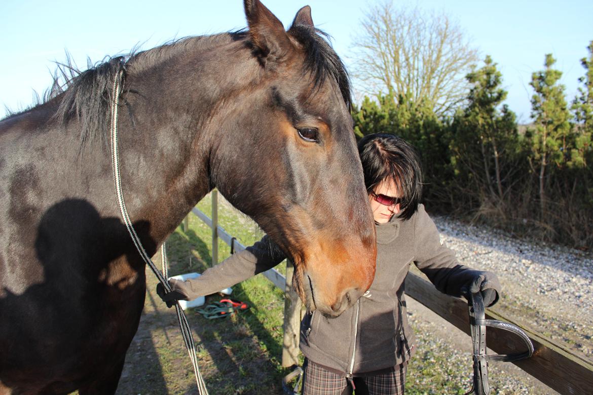Anden særlig race Bekito billede 5