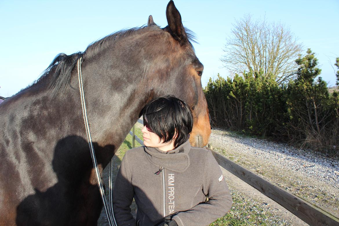 Anden særlig race Bekito billede 6