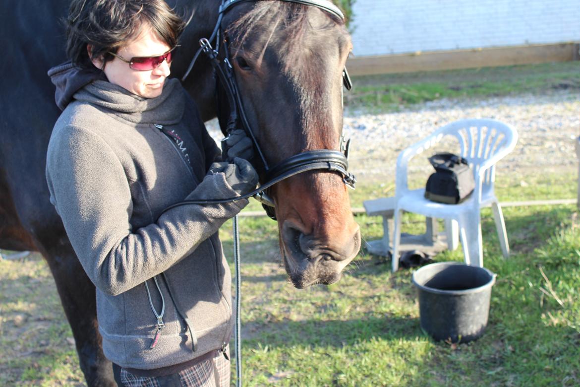 Anden særlig race Bekito billede 7