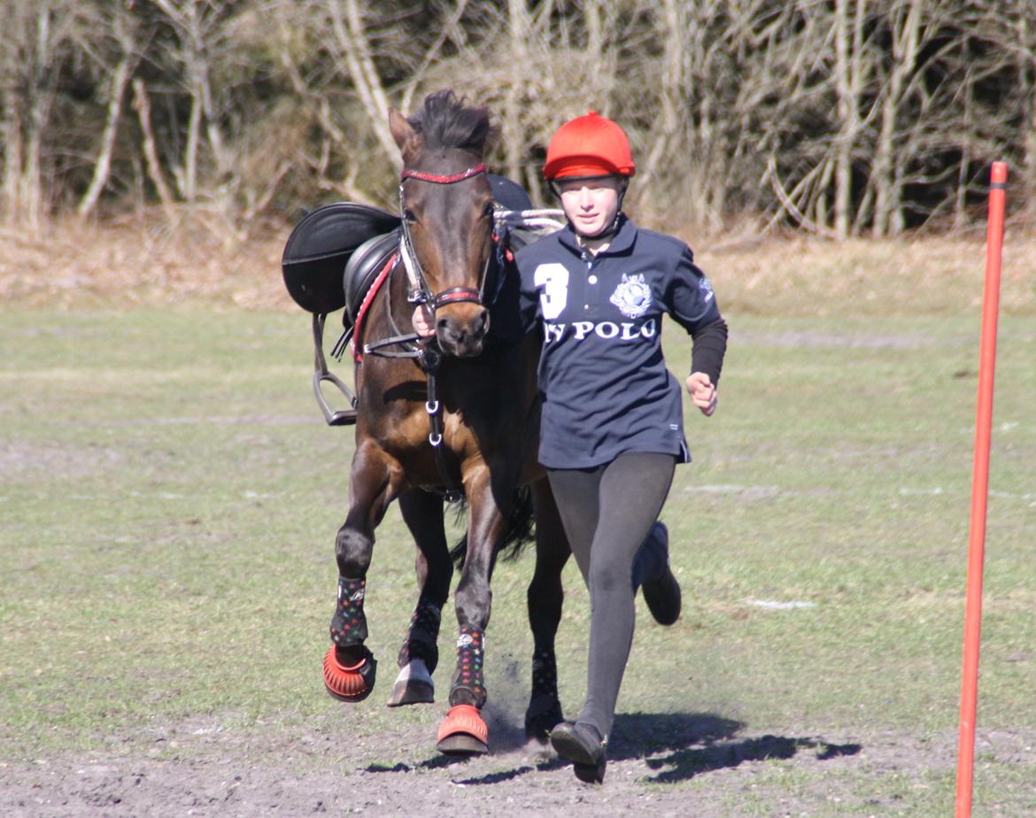 DSP Kvazandra Lapaz - kappo cup 2013 billede 9