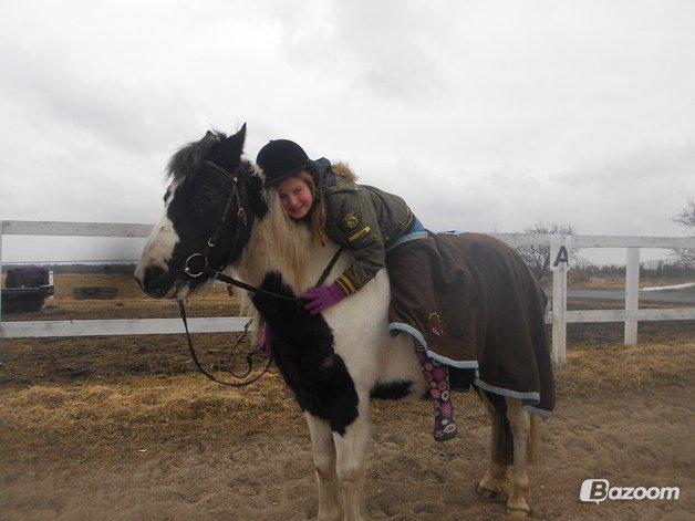 Pinto Prins billede 5