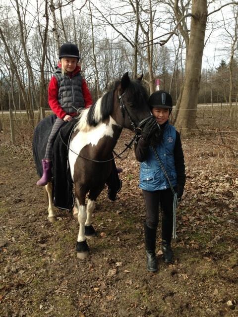 Anden særlig race Bonni billede 11