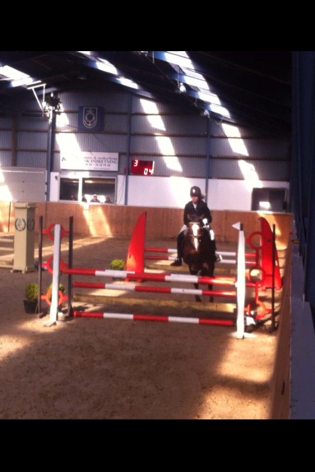 DSP Fejrupgaards Cookienelle - Frederikshavn Rideklub C-stævne, 21/4 2013 - Vores første LA2**  billede 11