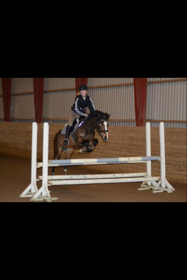 DSP Fejrupgaards Cookienelle - Springtræning marts 2013, v. Maria Alberg billede 16