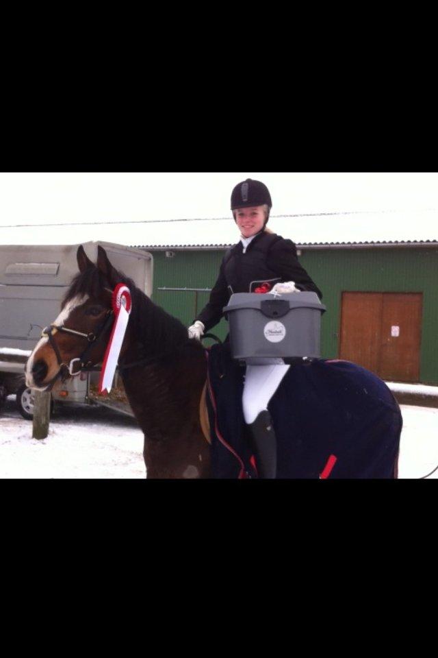 DSP Fejrupgaards Cookienelle - Arden Sportsrideklub, Januar 2013 - 1. plads i LB2**  billede 17