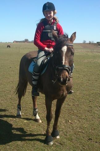 Hollandsk Sportspony Chico - my best friend <3 billede 6