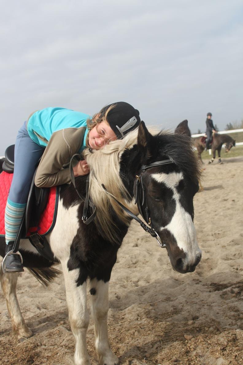 Pinto Prins billede 7