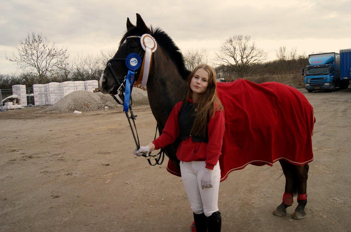 Anden særlig race Jolly Jumper - spring stævne hillerød marts 2013 billede 11