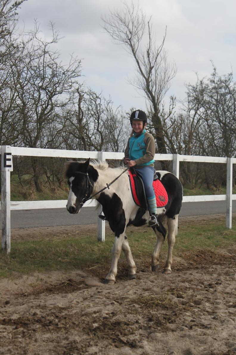 Pinto Prins billede 12