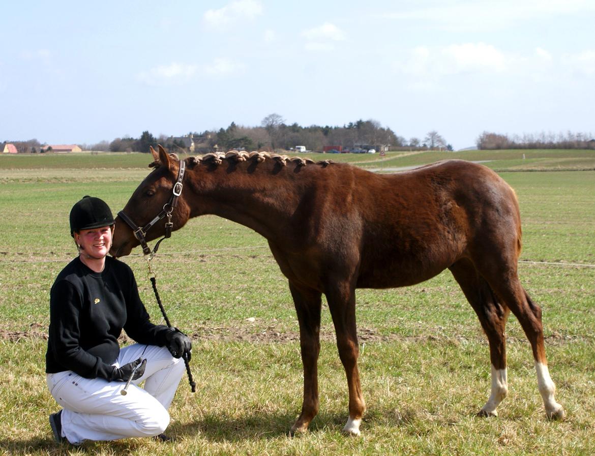 DSP Enzo M - Hygge trold billede 16