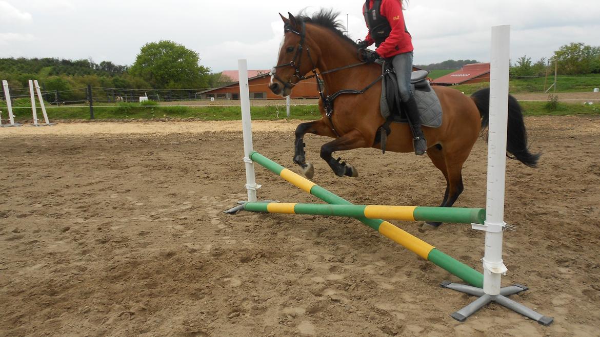 DSP Malou - For lidt mere end et år siden :) Gymnastisk spring :)  billede 16