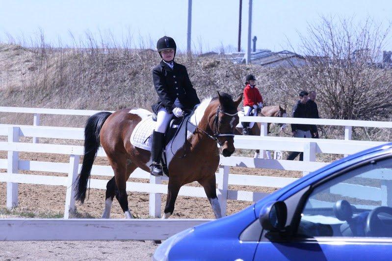 Anden særlig race Magic Rainbow billede 8