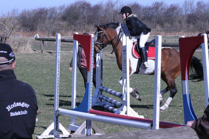 Anden særlig race Magic Rainbow billede 10