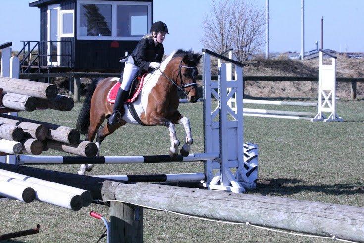 Anden særlig race Magic Rainbow billede 11