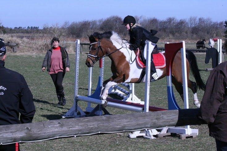 Anden særlig race Magic Rainbow billede 12