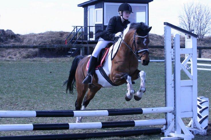 Anden særlig race Magic Rainbow billede 13