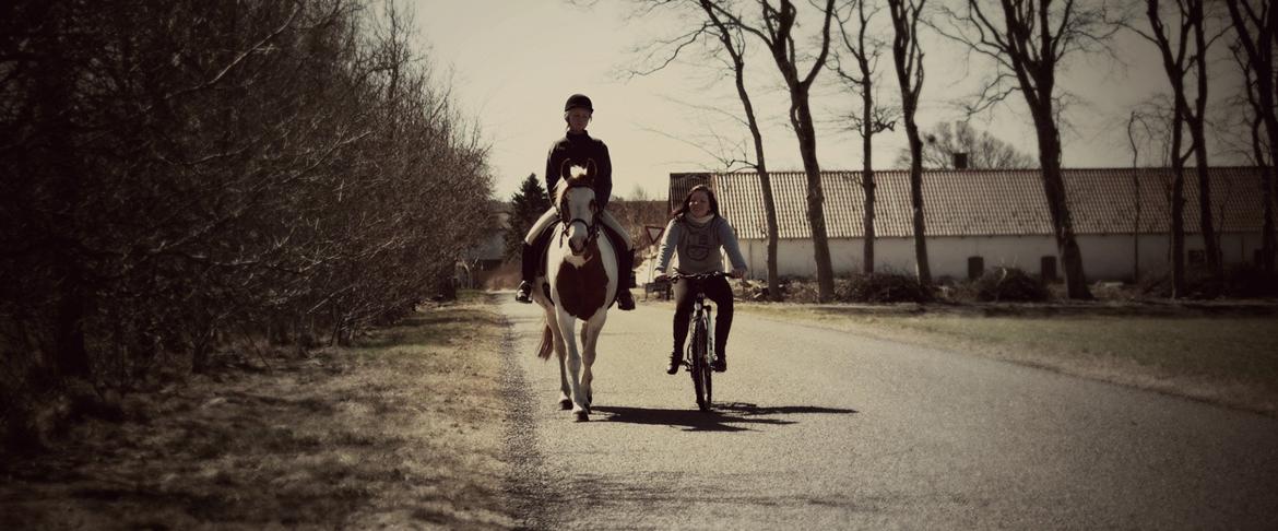 Pinto Nikita  - Cykel tur med søs og Niki <3 billede 20