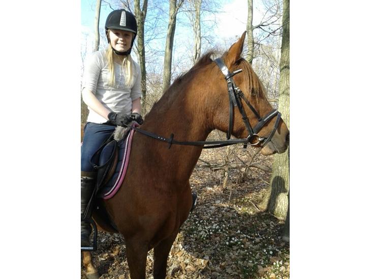 {{currentPhoto.altText}} billede {{currentPhoto.number}}