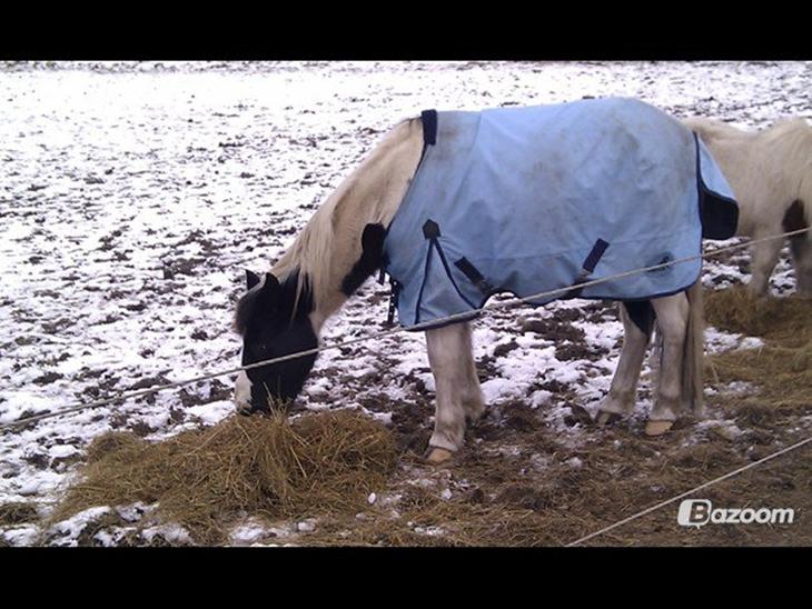 {{currentPhoto.altText}} billede {{currentPhoto.number}}