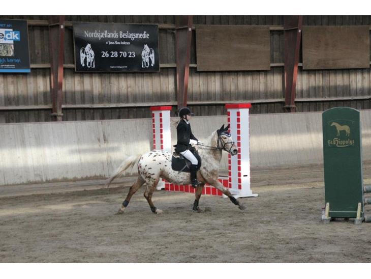 {{currentPhoto.altText}} billede {{currentPhoto.number}}