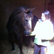 Anden særlig race Nanna [Passede]