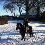 Anden særlig race Wesselhoff's Nala! Solgt og savnet!! <3