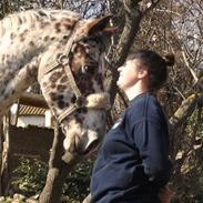 Anden særlig race Walthe