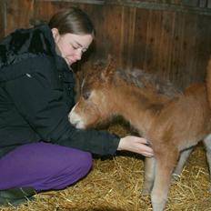 Dansk Miniature RKG Killers Blue Eyed Masterpiece