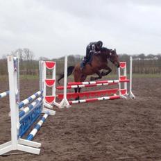 Anden særlig race Lucky