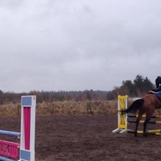 Anden særlig race Lucky