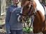 Pinto Blade - Min elskede <3<3