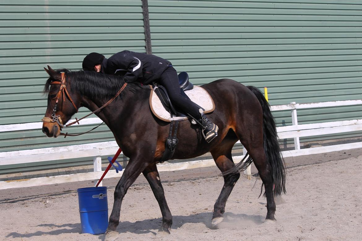 DSP Martilla (Part) billede 13