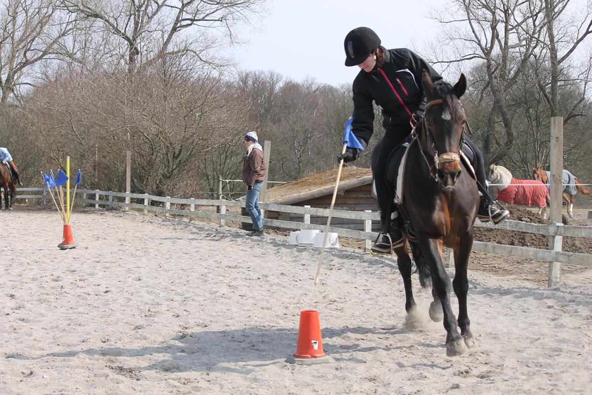 DSP Martilla (Part) billede 14