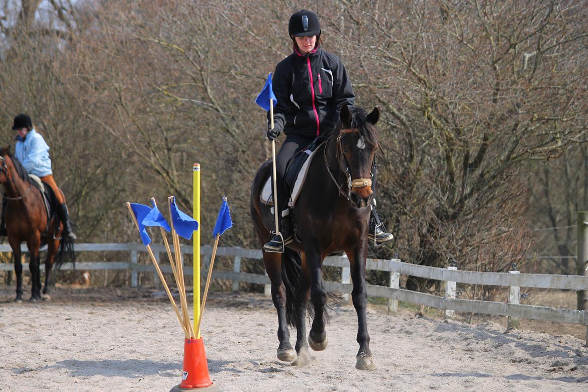 DSP Martilla (Part) billede 16