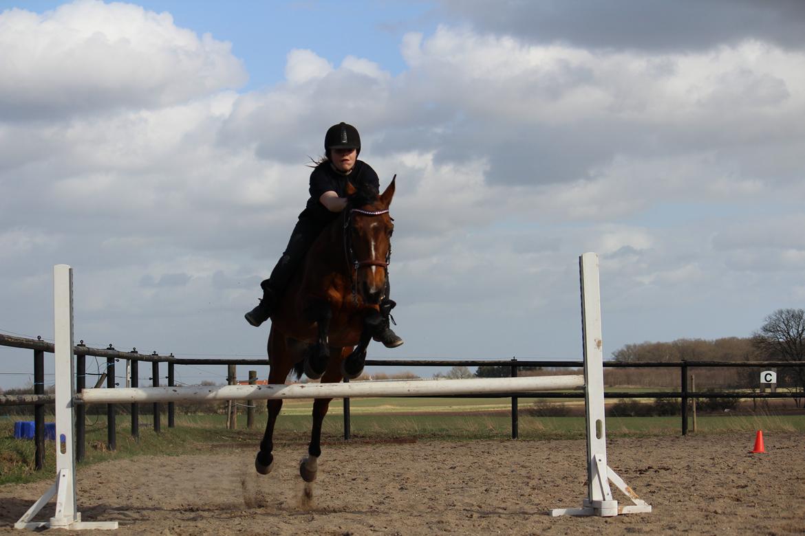 Anden særlig race - Kimse - Fantastisk dag! <3 Foto: Victoria Bruhn.BD billede 15
