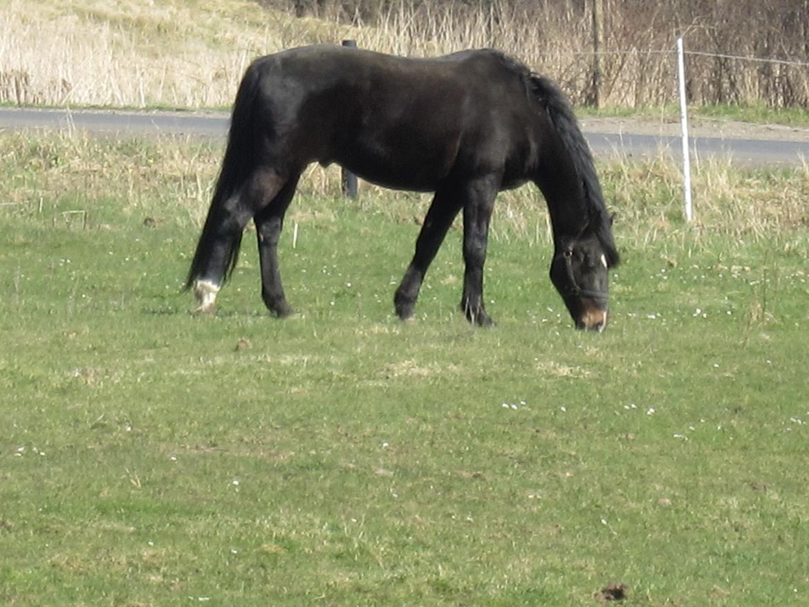 Oldenborg Another One 2 [Dundee<3] - Muums!<3<3 billede 13