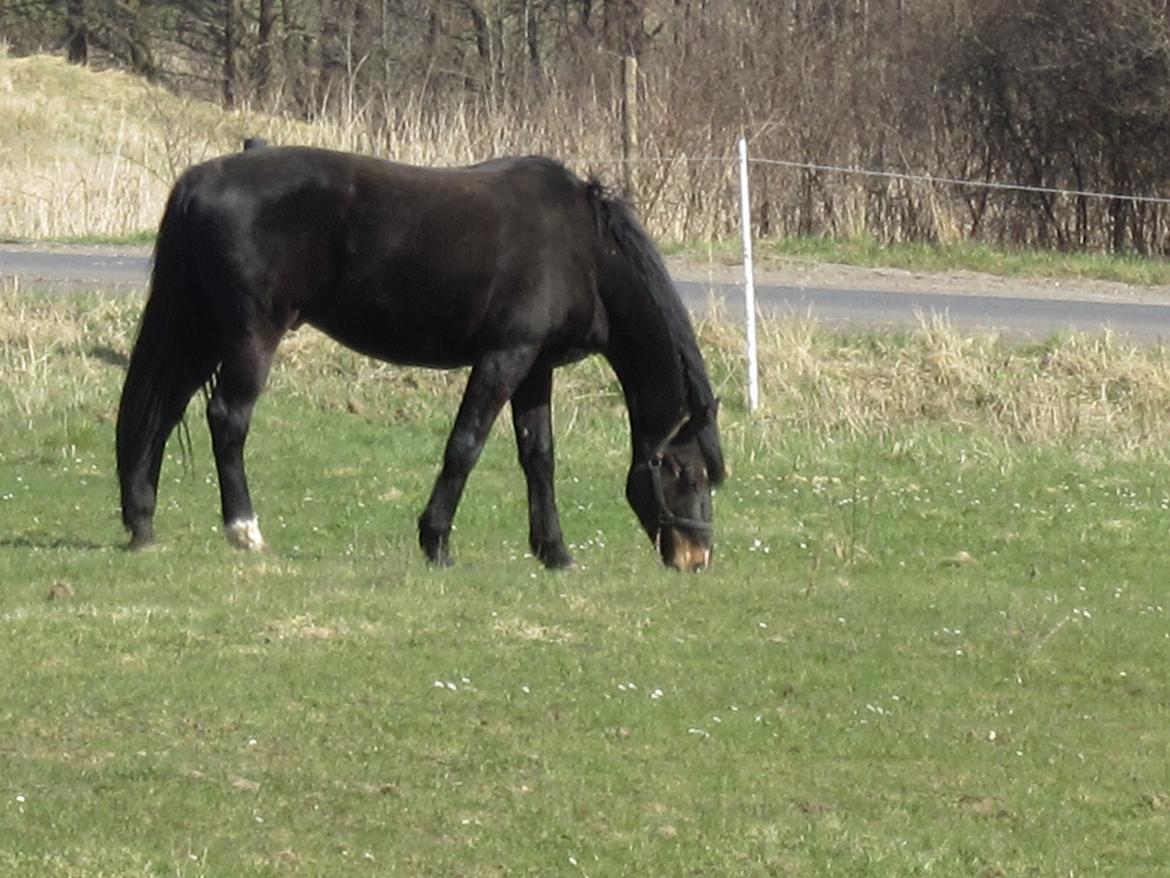 Oldenborg Another One 2 [Dundee<3] - Mad mad mad mad mad mad maaaaaaaaaad billede 3