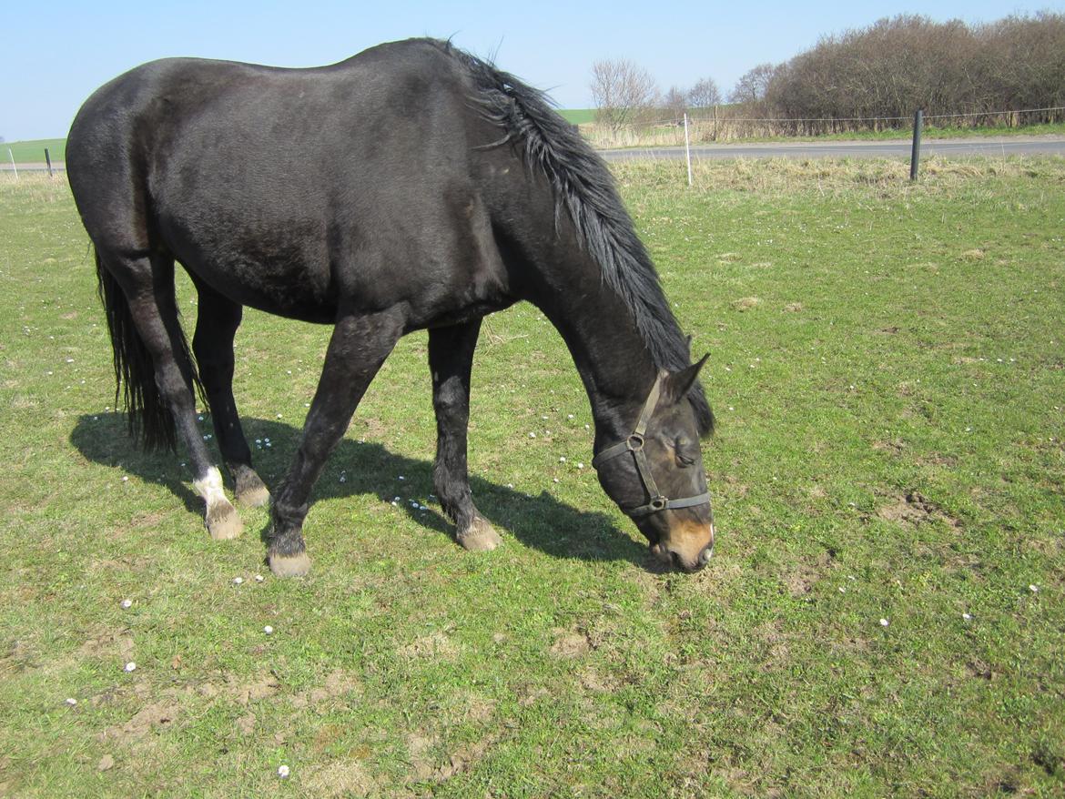 Oldenborg Another One 2 [Dundee<3] - Maad:-* billede 9