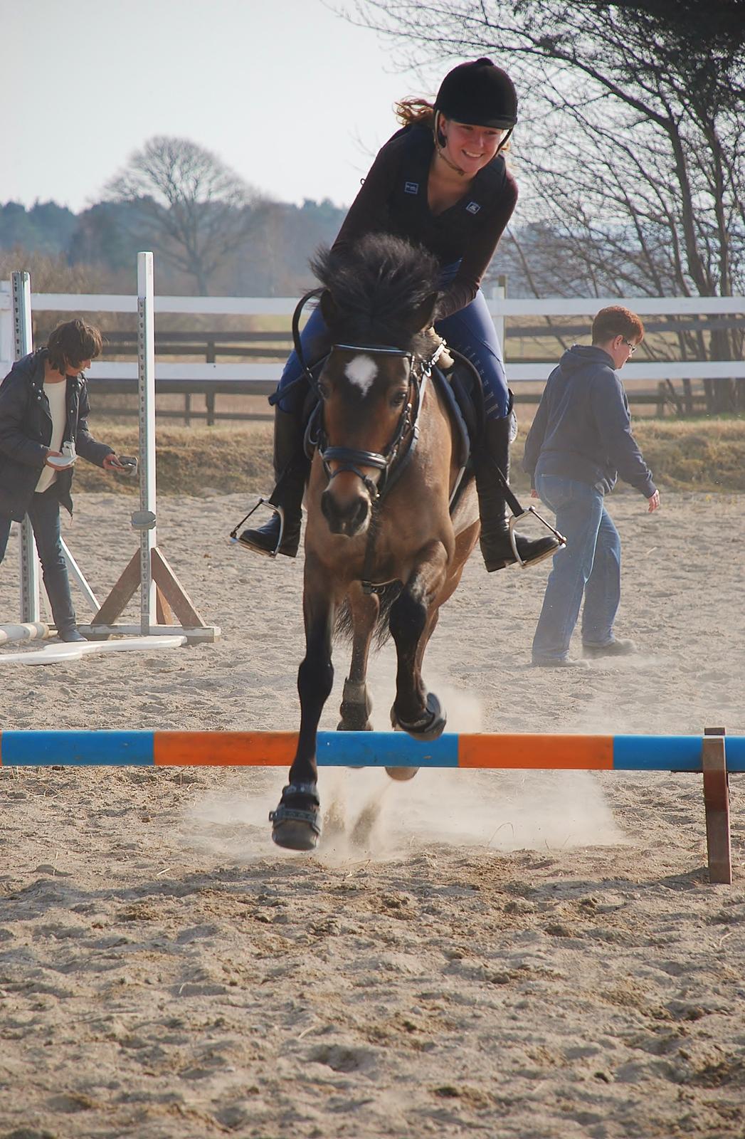 Hollandsk Sportspony July - Når afstanden kikser, og man bliver lidt useriøs.. Foto: Mie Raun. billede 12