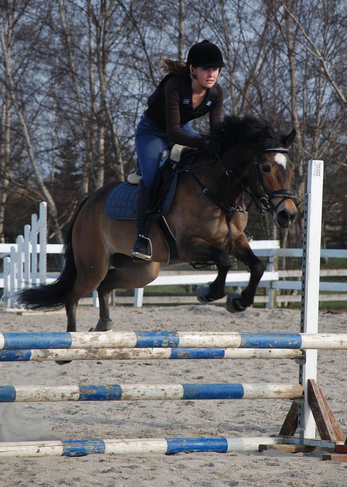 Hollandsk Sportspony July - Første bane udendørs :-) Foto: Mie Raun. billede 6