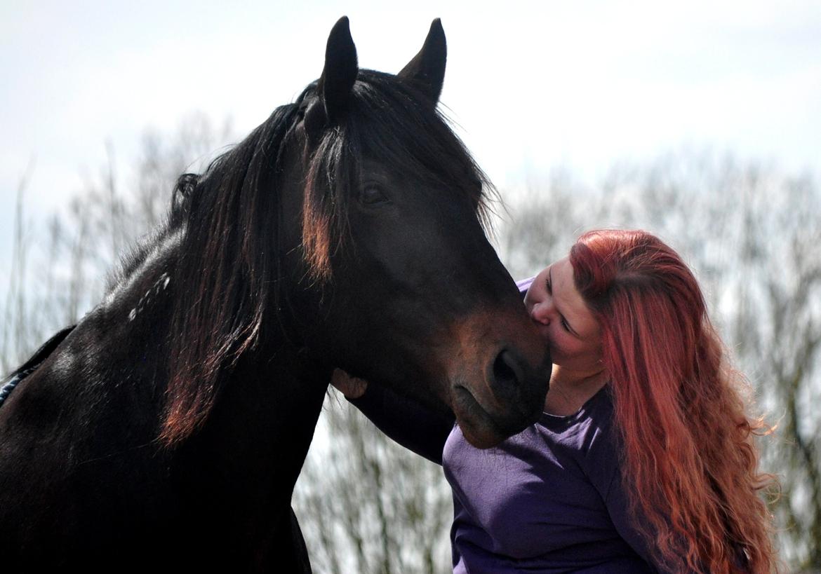 Koldblodstraver Bergtilda <3 *Tilde* | min prinsesse. - 2). Jeg elsker dig :-*<3. | Fotograf: Frederikke Rasmussen m. mit kamera. billede 2